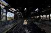 Tracks