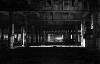 Under the Concourse