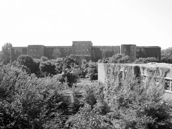 Grounds W-7
