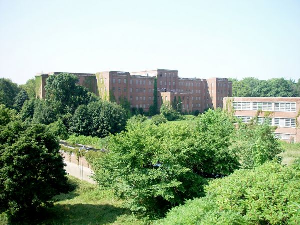 Grounds W-6