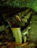 Auditorium Seats