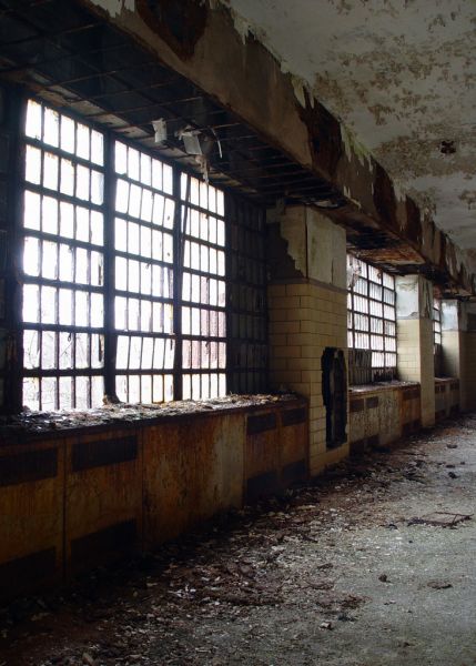 Ward Windows