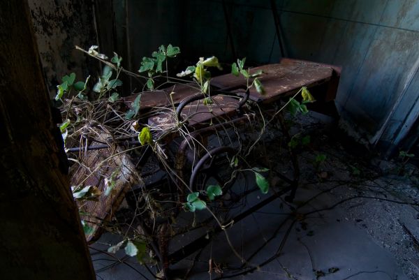Postmortem