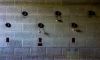 Sockets