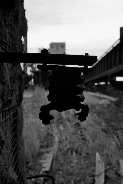 Industrial Entomology