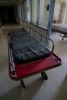 Morgue Gurney
