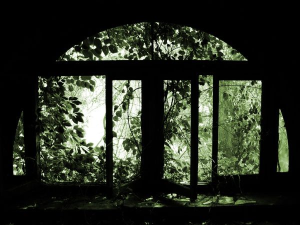 Arched Window