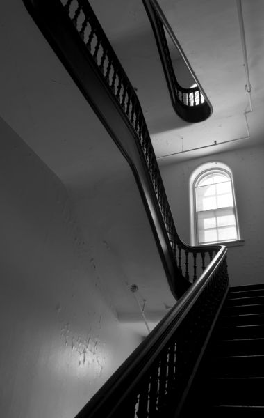 Organic Stairwell