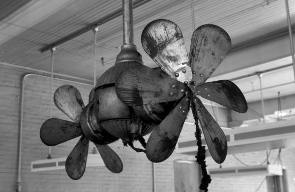 Ancient Fan