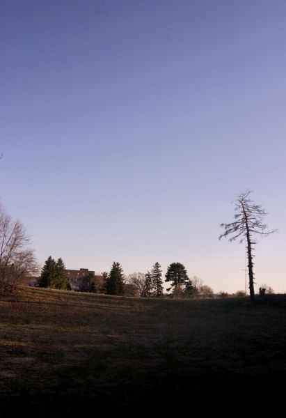 The Hills