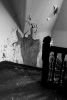 Shadows