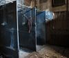 Showers