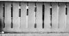 Toothbrushes
