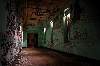 Strain