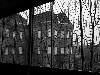 Caged In View
