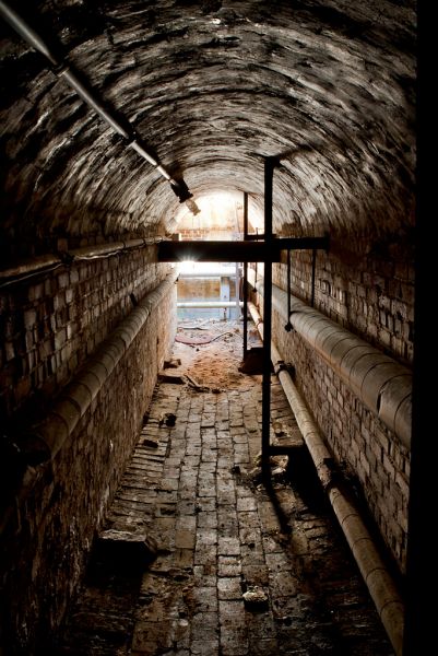 Tunnel Out