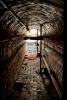 Tunnel Out