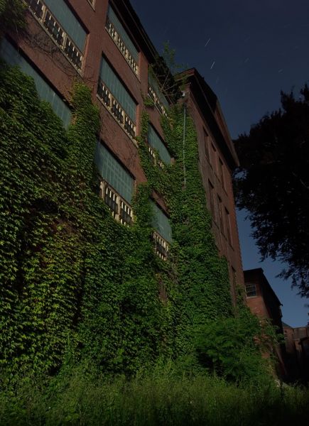 Moonlit Facade