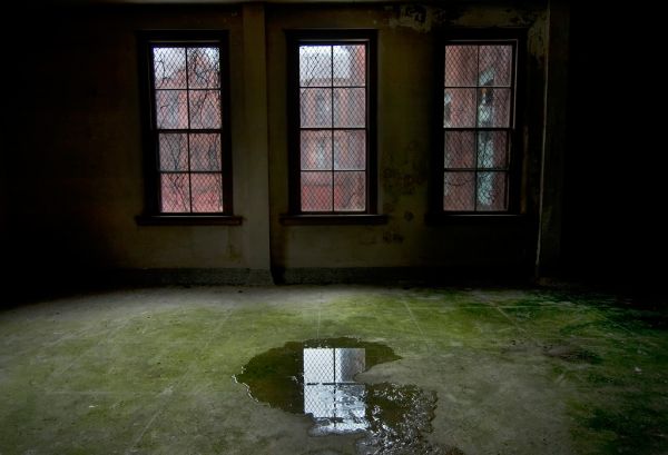A Recent Reflection