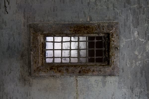 Mesh Window