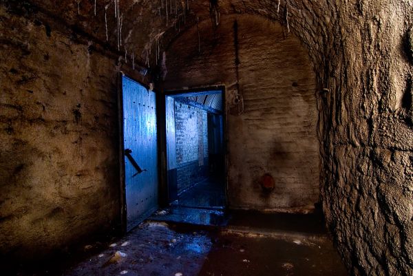 Blue Light