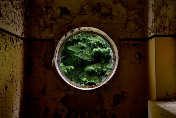 The Outside World (Evergreen II)
