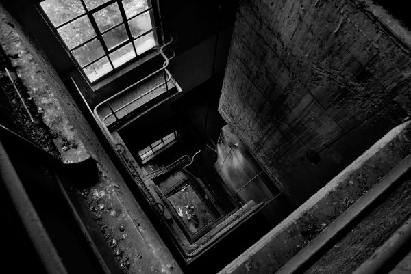Shaft