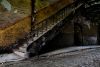 Descent of Decay