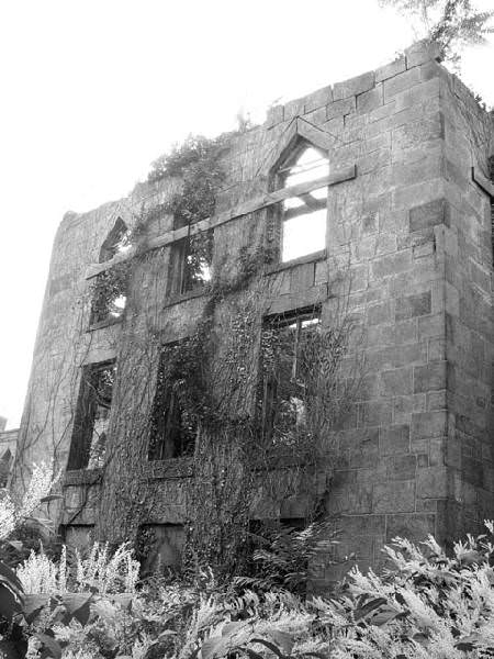 North Wing