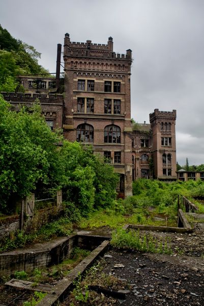 Lush Landscapes