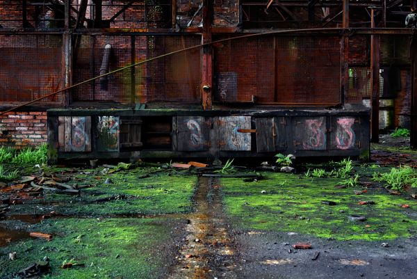 Vibrancy