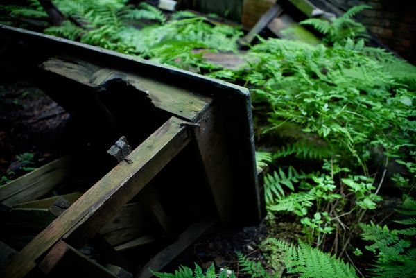 Rejoining the Earth