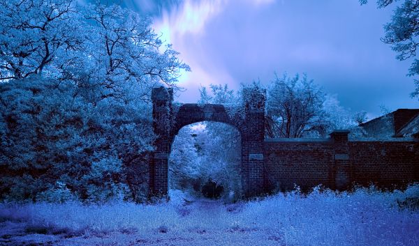 Violet Shadows