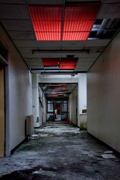 Red Skylights