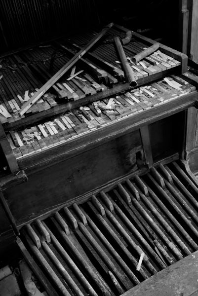Organ