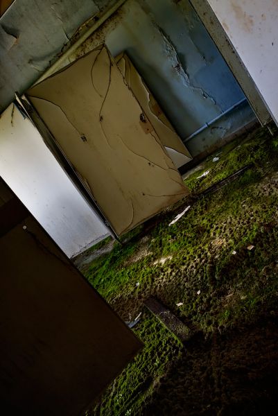 Metal And Moss