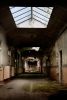 Ashen Halls
