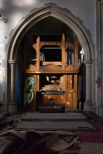 Organ