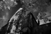Deep Shadows