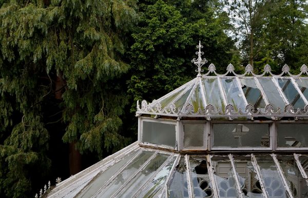 An Elegant Roof