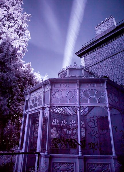 Violet Glass