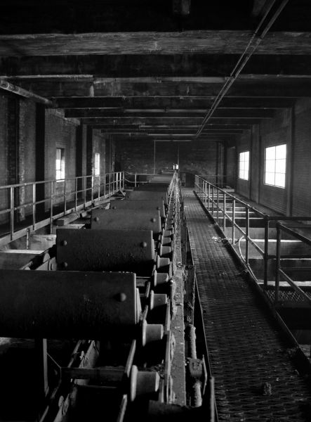 Conveyor Belt
