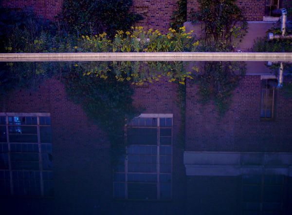 Reflection