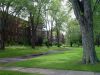 Grounds