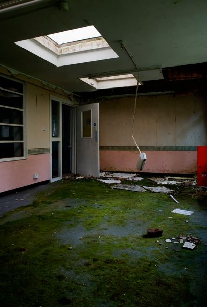 Moss Room