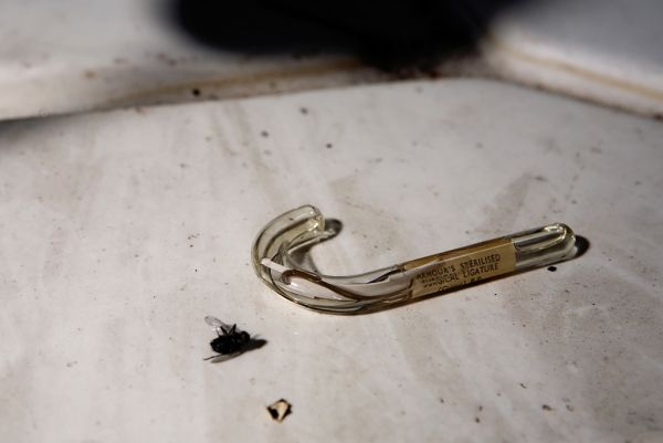 Ligatures and Flies