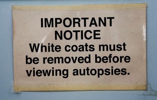 Important Notice