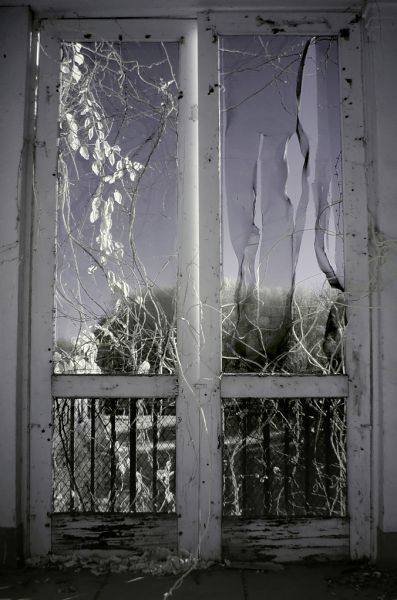 Vine Door
