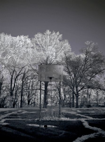 Basketball Net