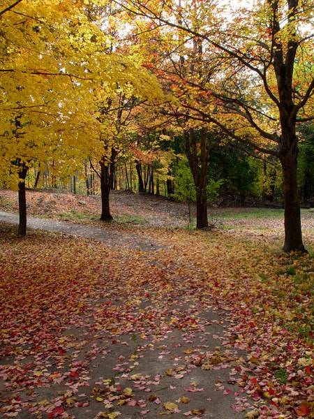 The Winding Road